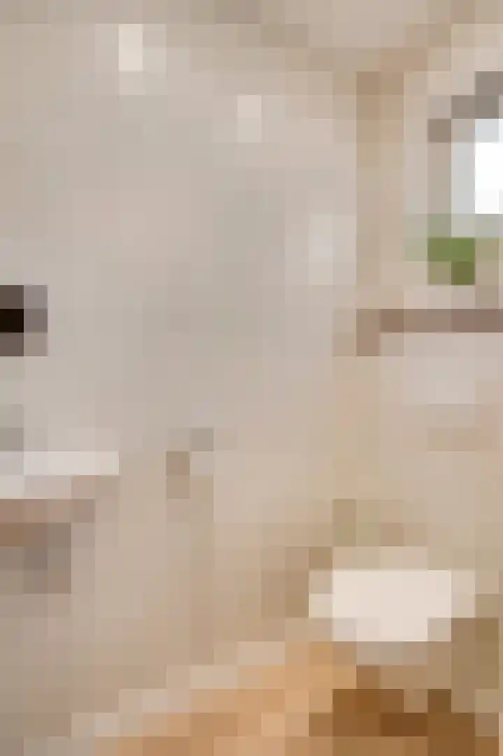 Kanhoeve 12 Sterksel thumbnail 10