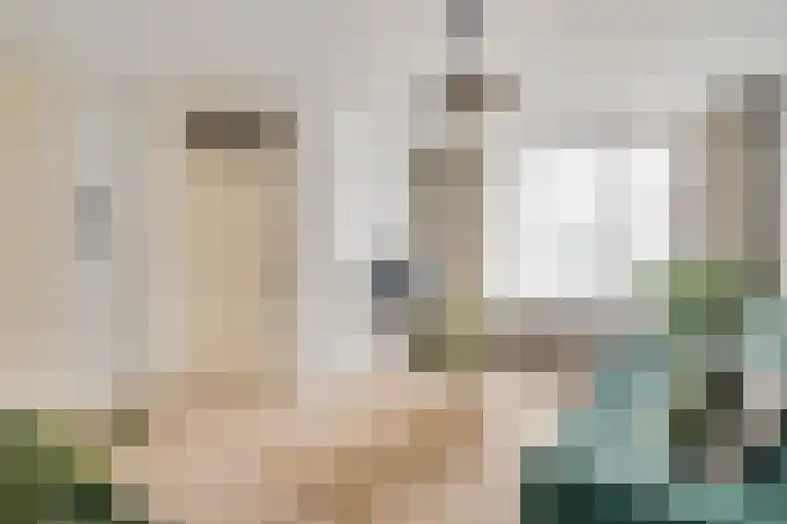Kanhoeve 12 Sterksel thumbnail 12