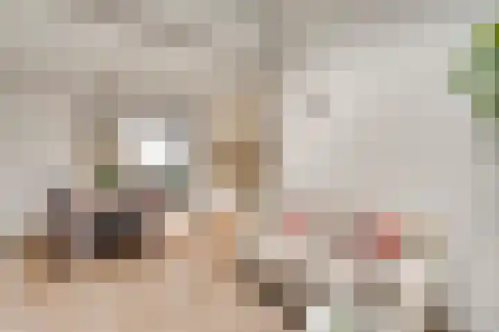 Kanhoeve 12 Sterksel thumbnail 16