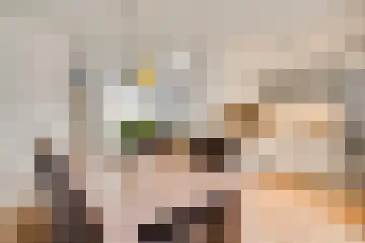 Kanhoeve 12 Sterksel thumbnail 17