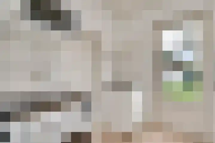 Kanhoeve 12 Sterksel thumbnail 19