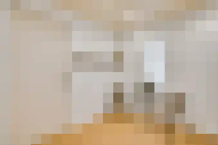 Kanhoeve 12 Sterksel thumbnail 21