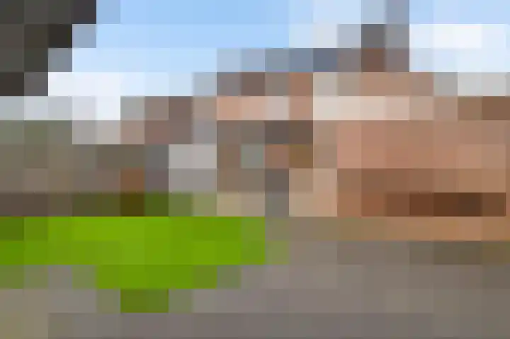 Kanhoeve 12 Sterksel thumbnail 34