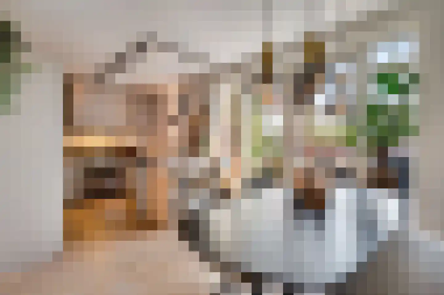 Kanhoeve 22 Sterksel thumbnail 11