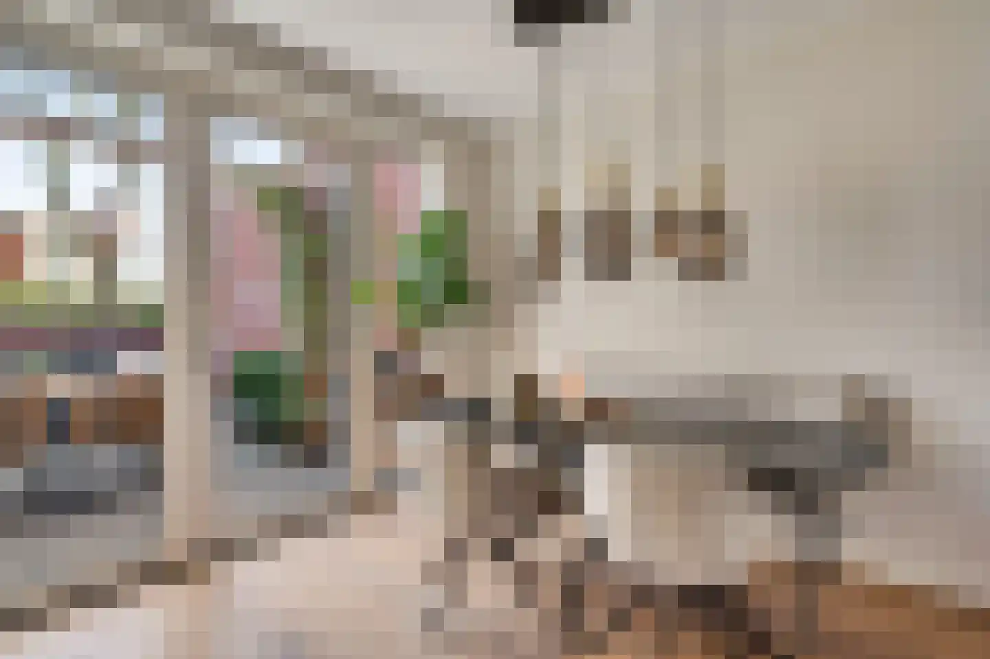 Kanhoeve 22 Sterksel thumbnail 12