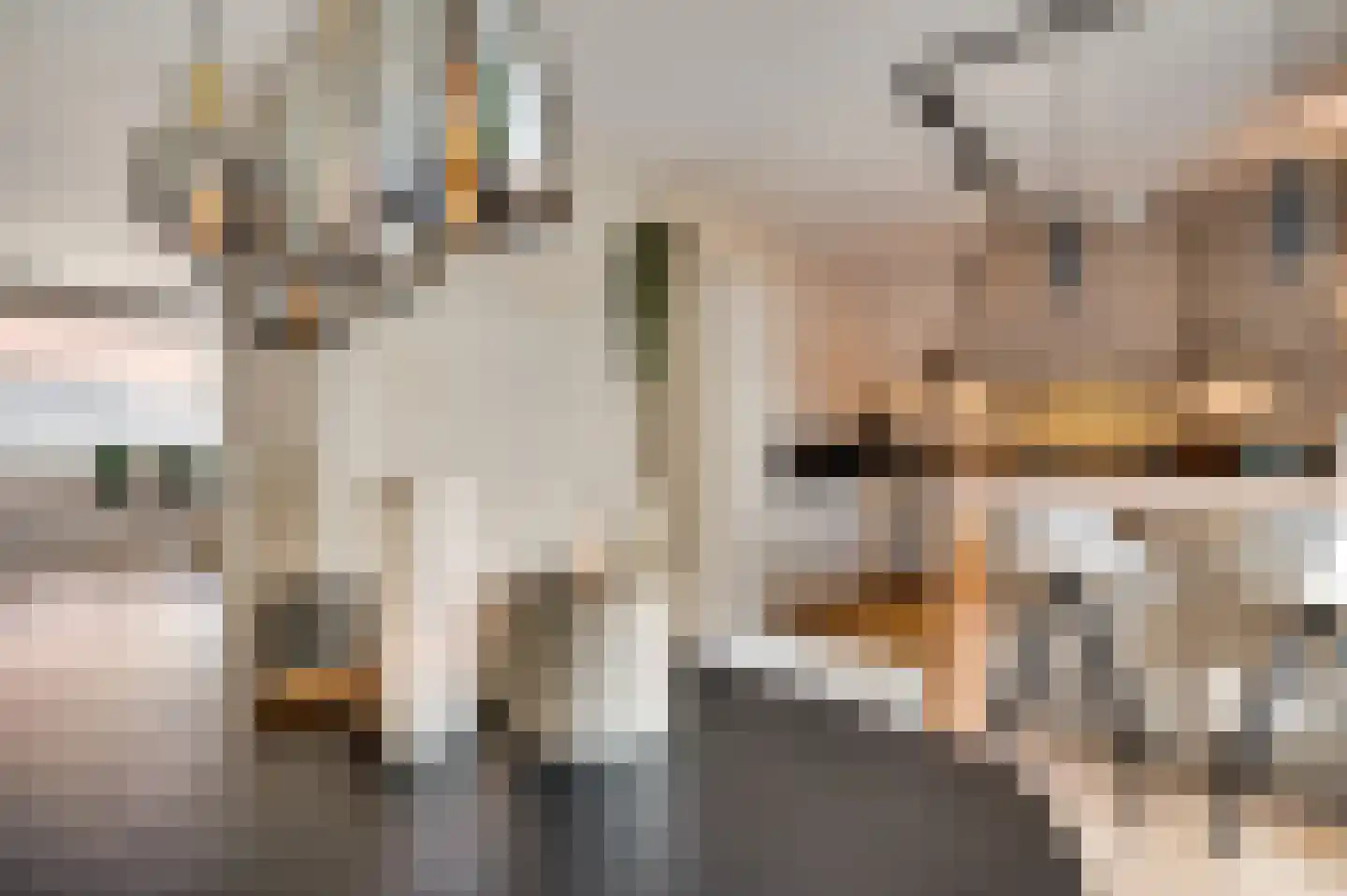 Kanhoeve 22 Sterksel thumbnail 13