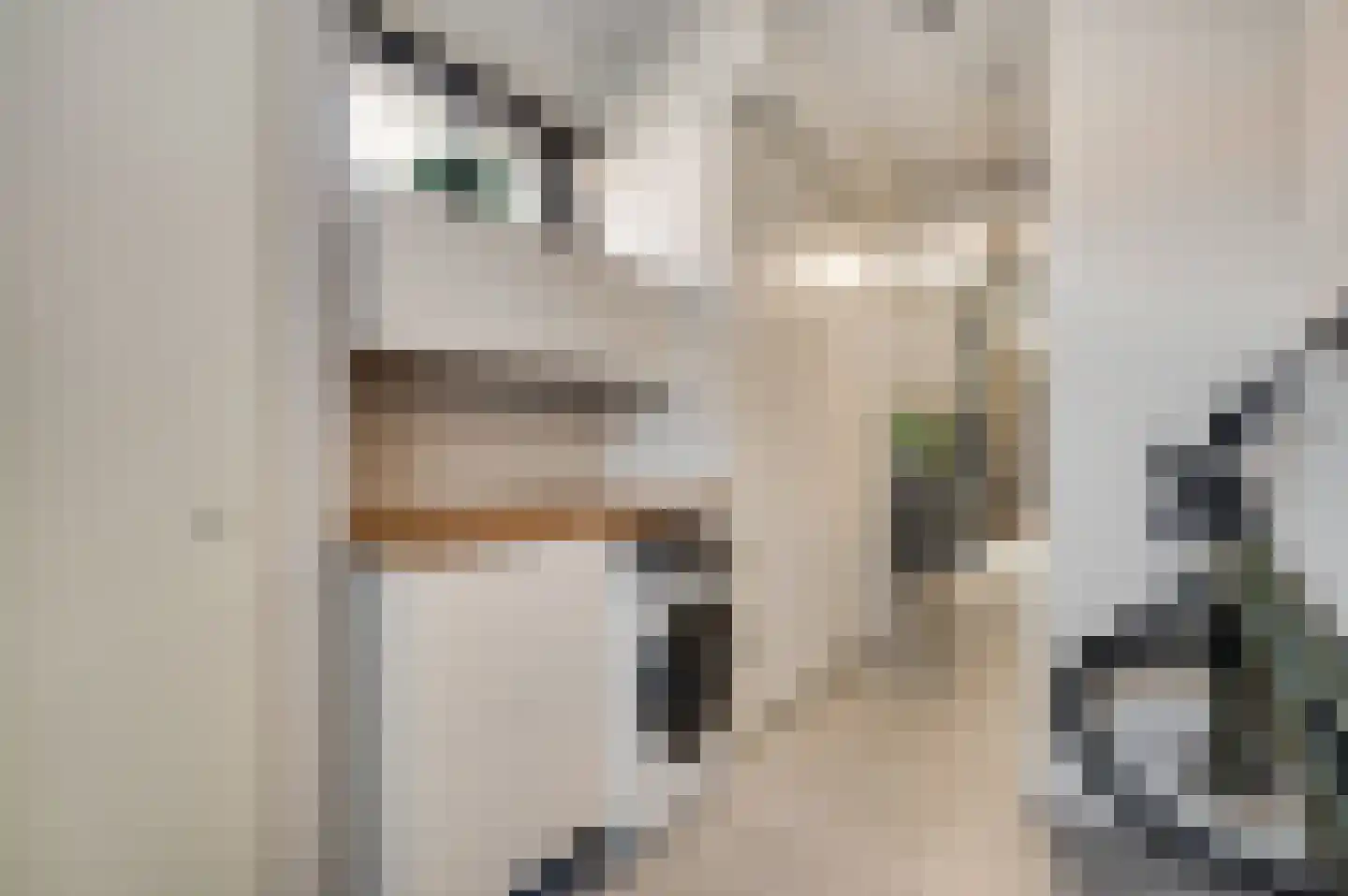 Kanhoeve 22 Sterksel thumbnail 17