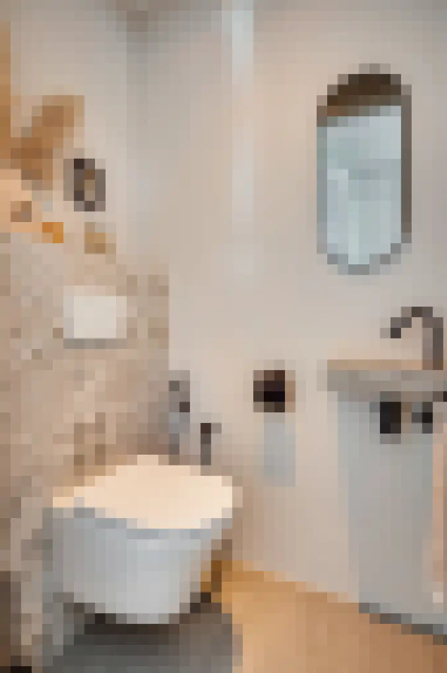 Kanhoeve 22 Sterksel thumbnail 19