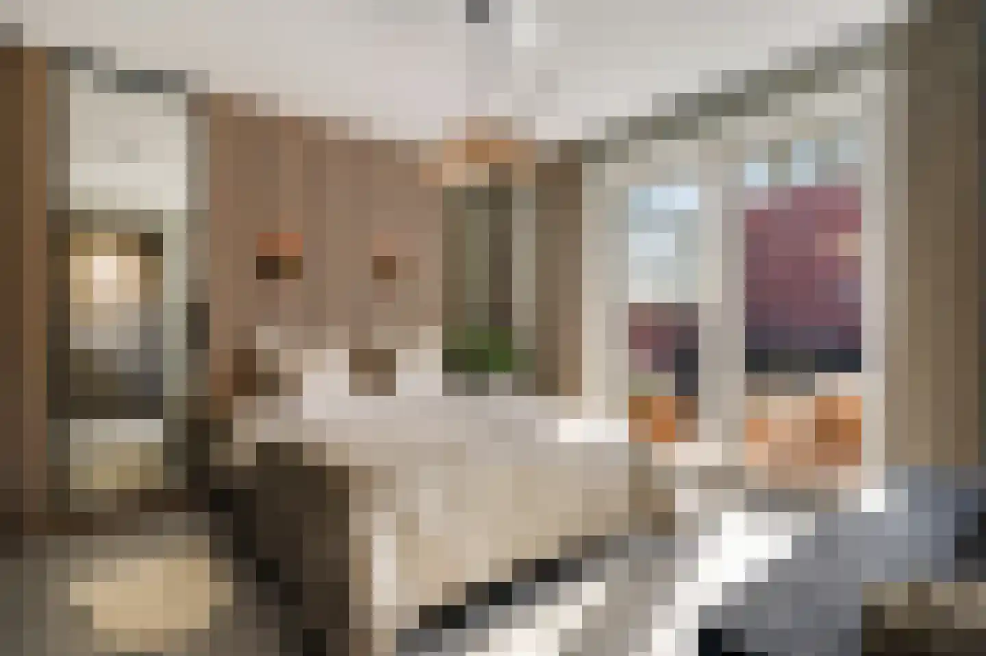 Kanhoeve 22 Sterksel thumbnail 22