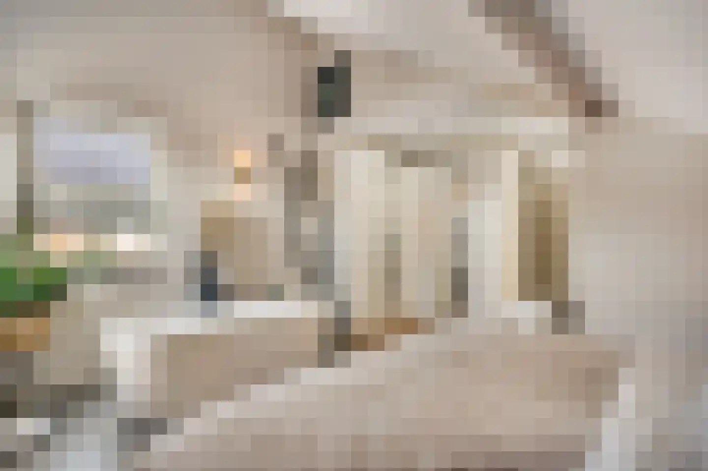 Kanhoeve 22 Sterksel thumbnail 31