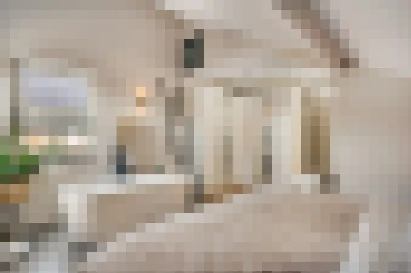 Kanhoeve 22 Sterksel thumbnail 31