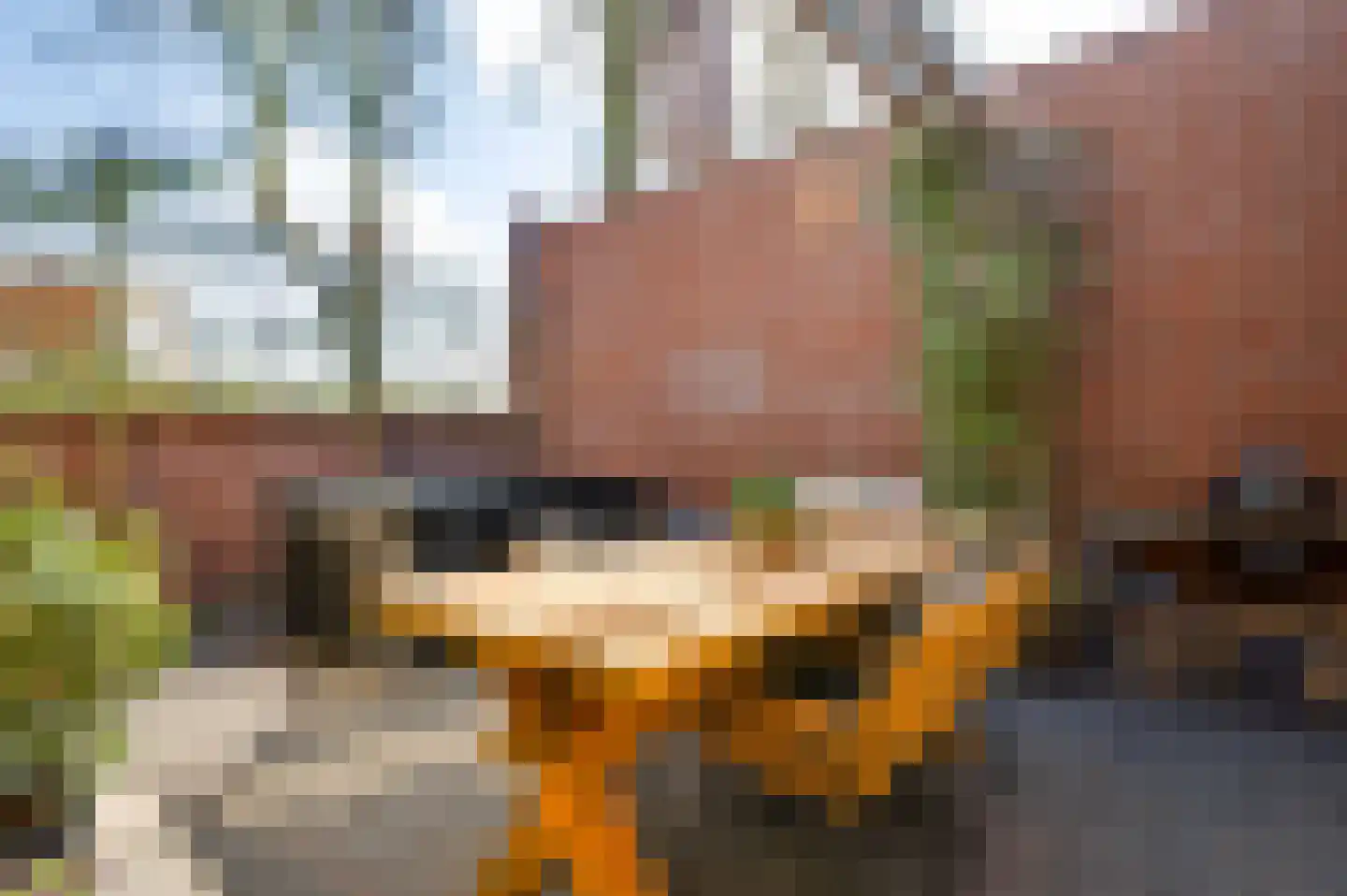 Kanhoeve 22 Sterksel thumbnail 37