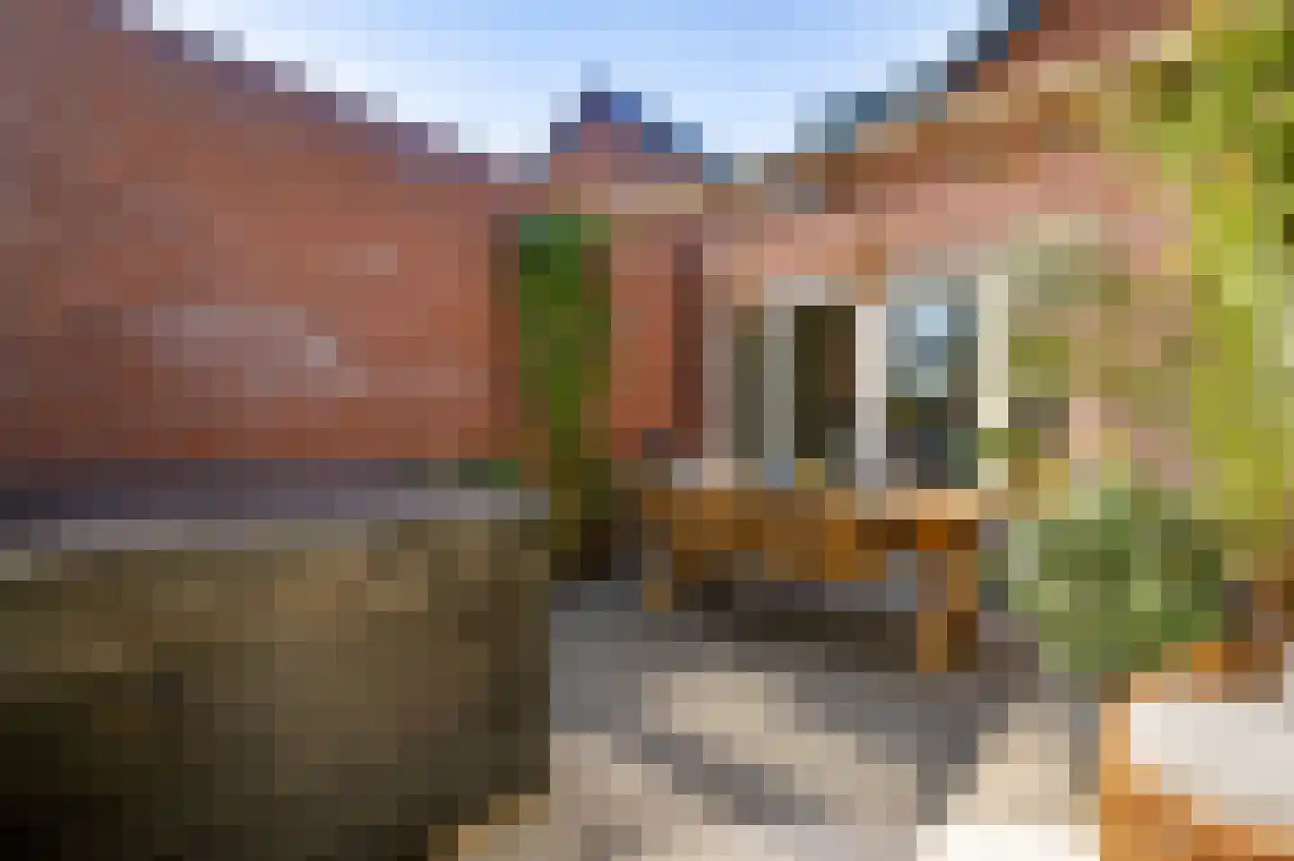 Kanhoeve 22 Sterksel thumbnail 38