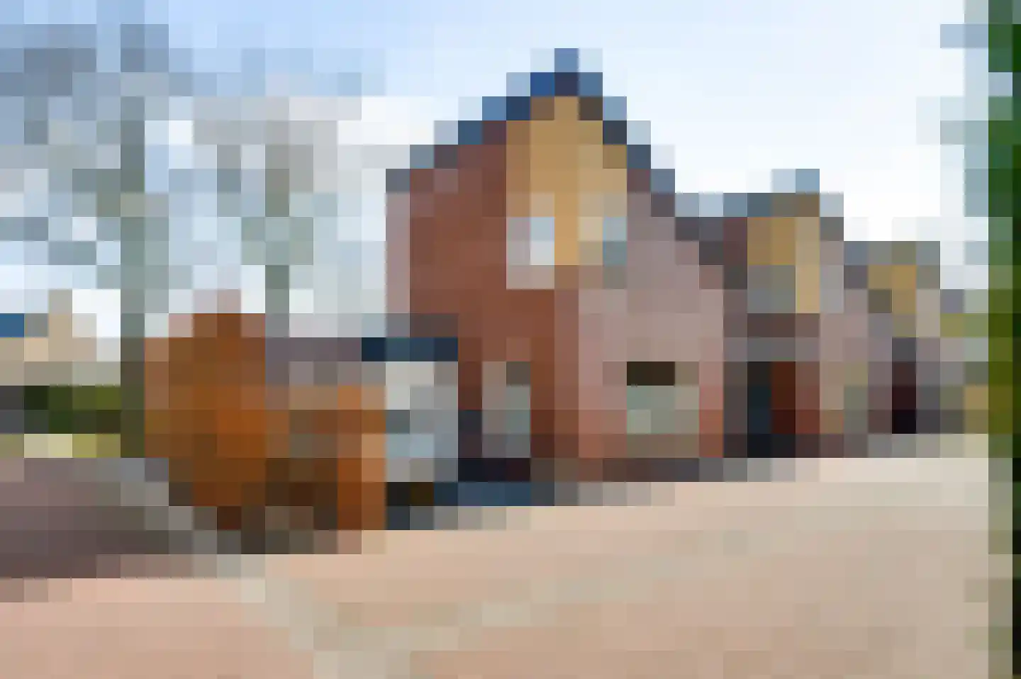 Kanhoeve 22 Sterksel thumbnail 40