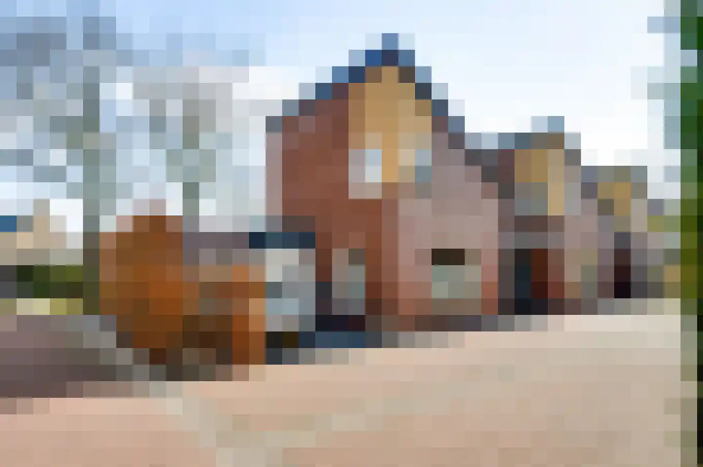Kanhoeve 22 Sterksel thumbnail 40