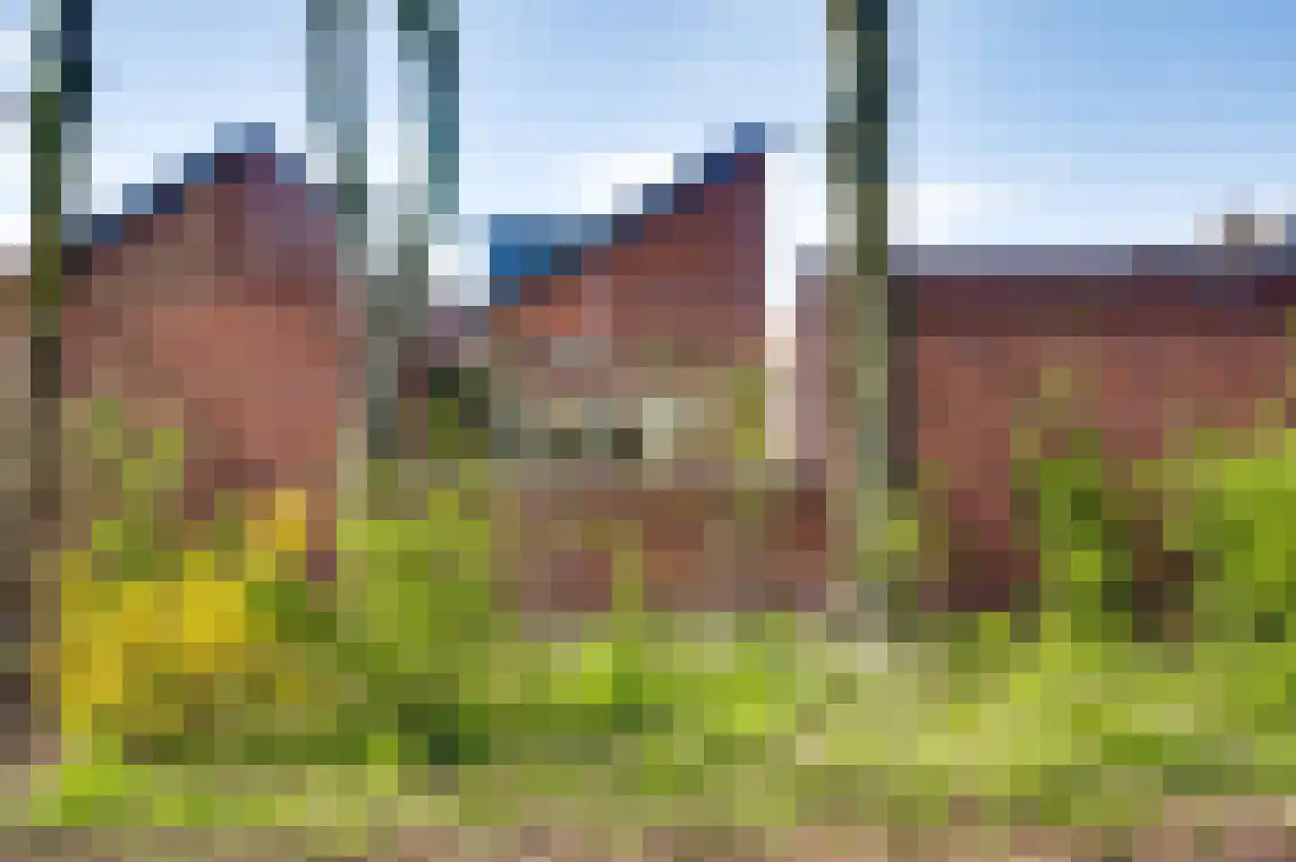 Kanhoeve 22 Sterksel thumbnail 44