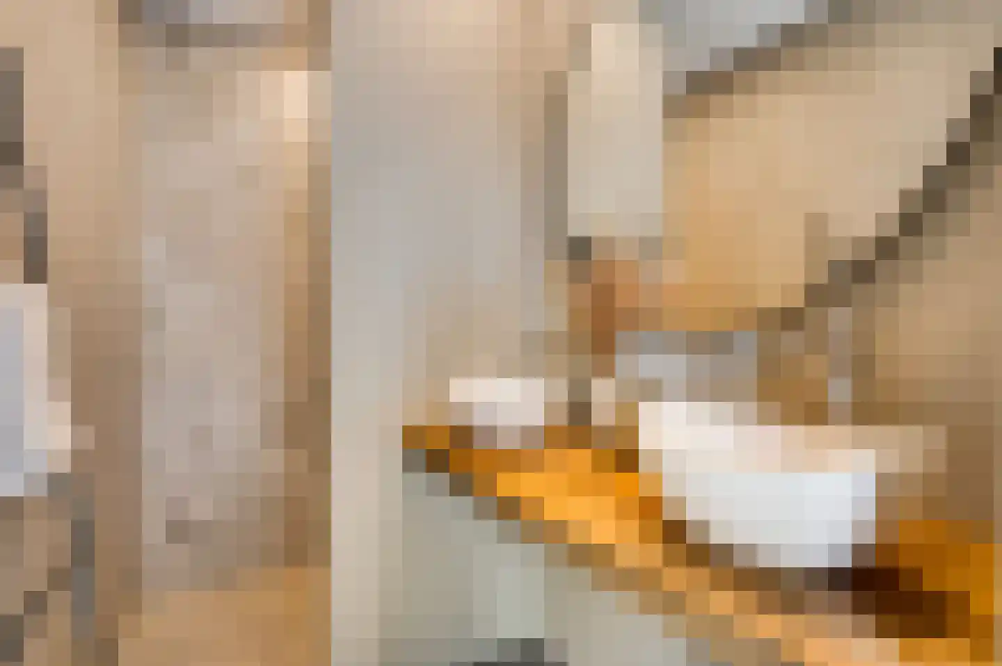 Kanhoeve 22 Sterksel thumbnail 5