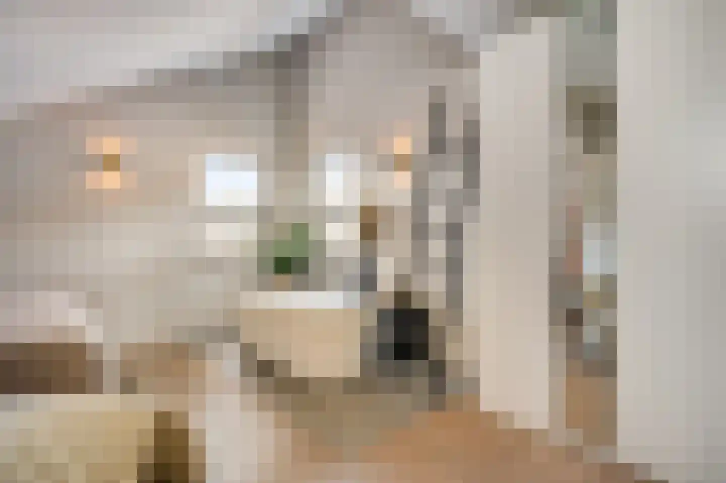 Kanhoeve 22 Sterksel thumbnail 6