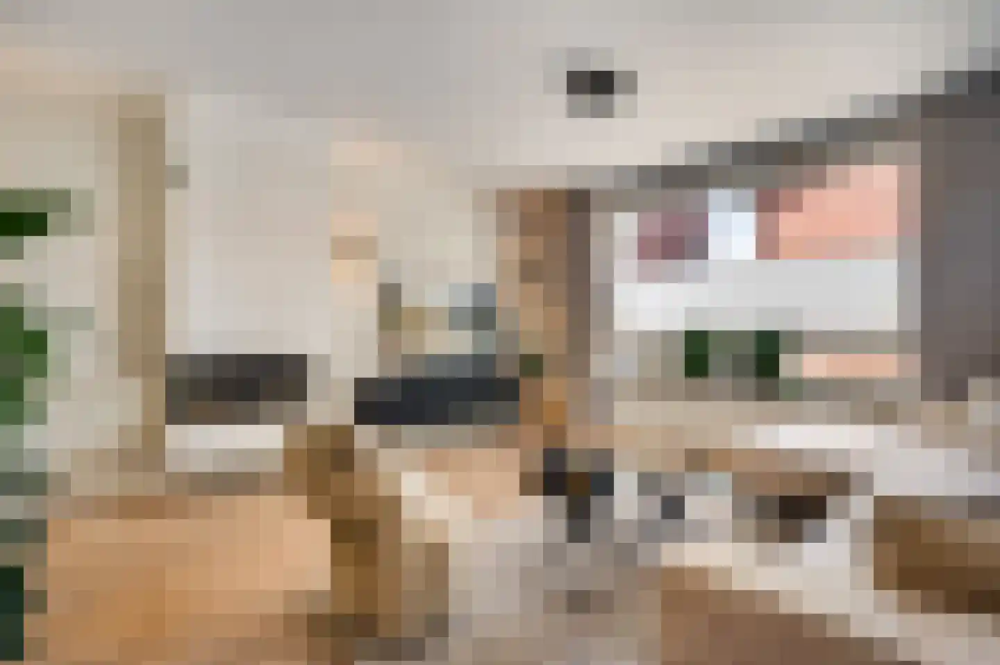 Kanhoeve 22 Sterksel thumbnail 8