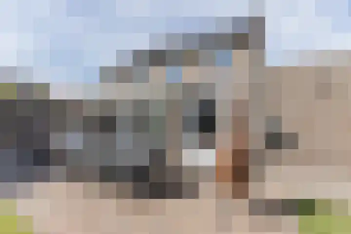 Kanhoeve 43 Sterksel thumbnail 33