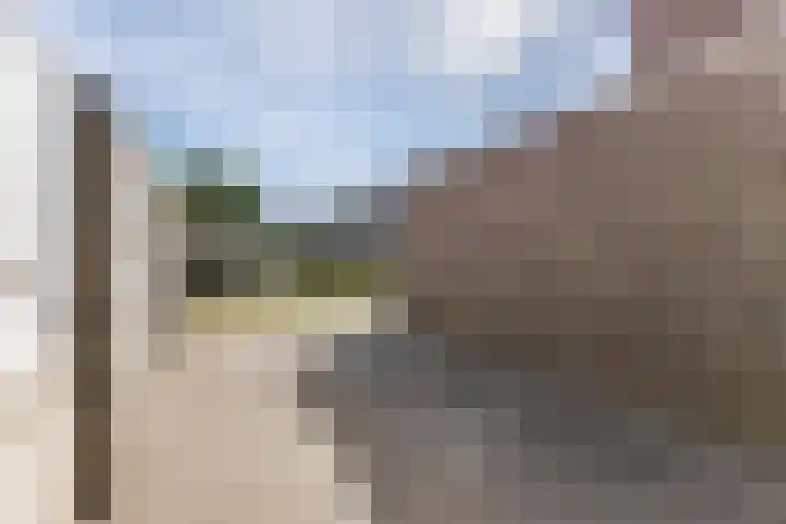 Kanhoeve 43 Sterksel thumbnail 34