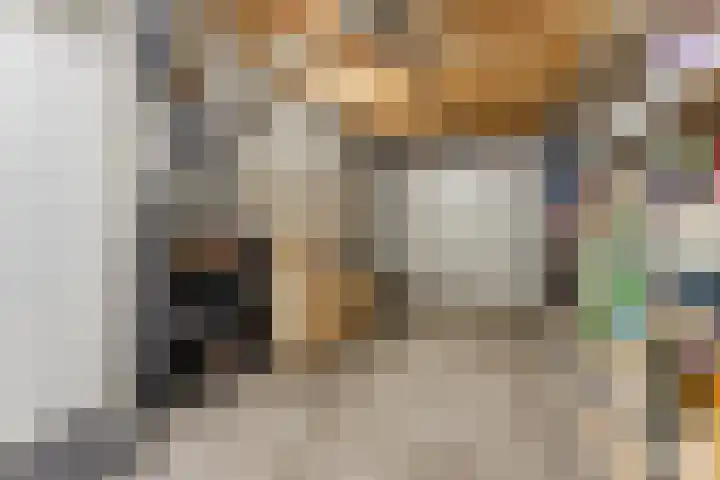 Kanhoeve 43 Sterksel thumbnail 37
