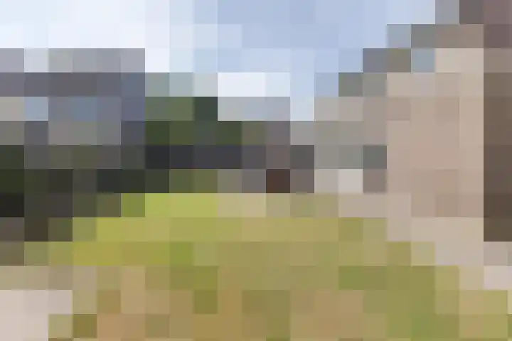 Kanhoeve 43 Sterksel thumbnail 41