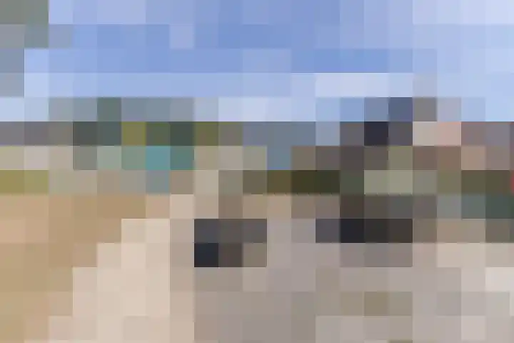 Kanhoeve 43 Sterksel thumbnail 45