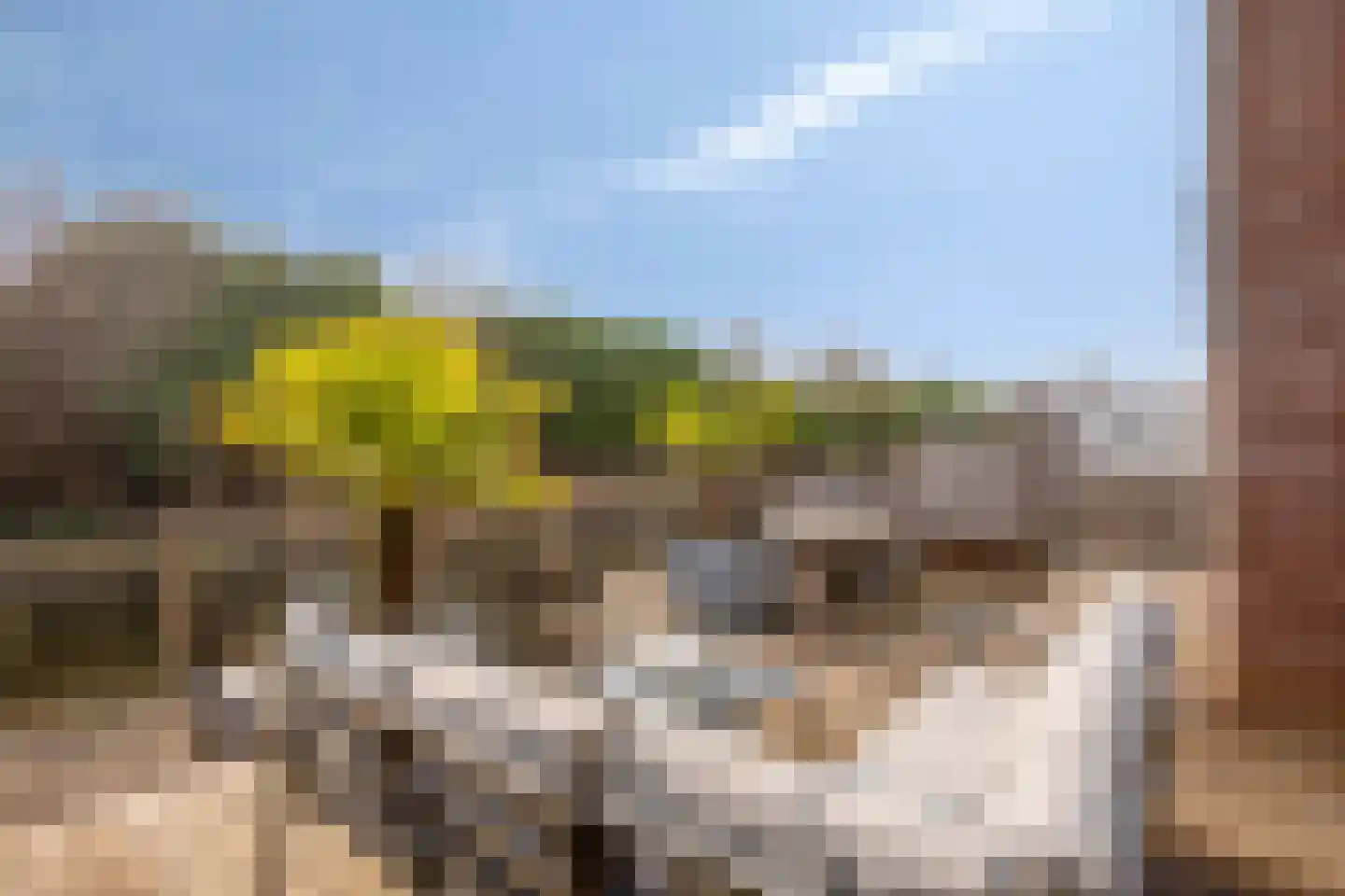 Kaninefatendreef 26 Alphen aan den Rijn thumbnail 15