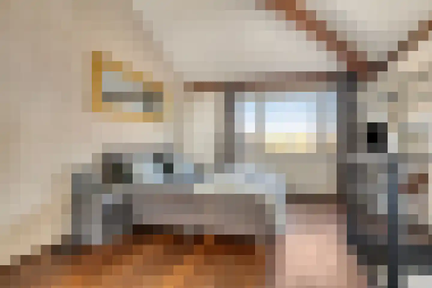 Kaninefatendreef 26 Alphen aan den Rijn thumbnail 34