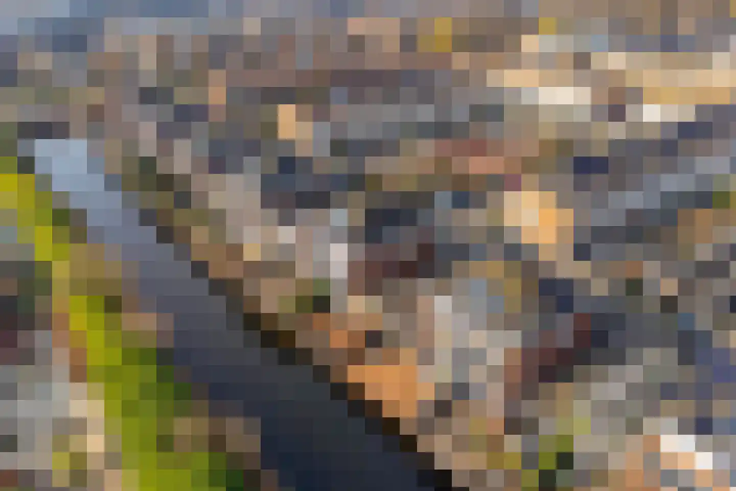 Kaninefatendreef 26 Alphen aan den Rijn thumbnail 45