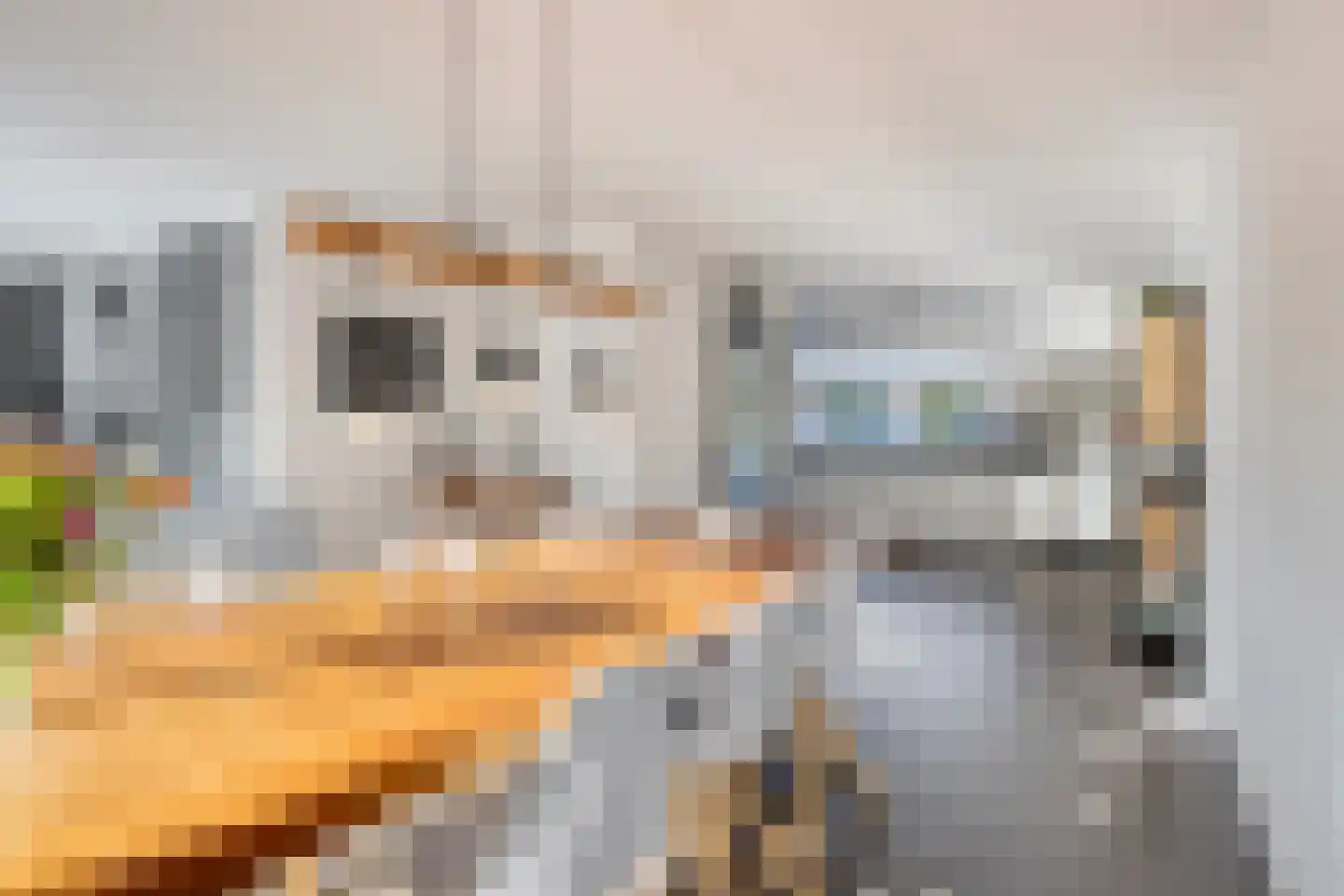 Kaninefatendreef 26 Alphen aan den Rijn thumbnail 5
