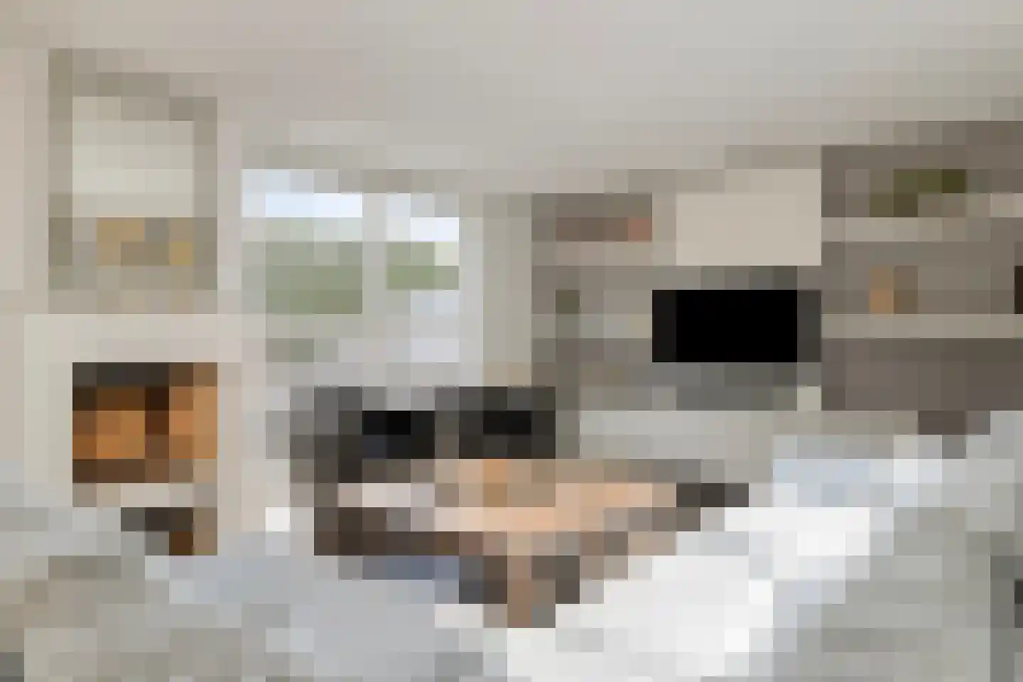 Kaninefatendreef 26 Alphen aan den Rijn thumbnail 9