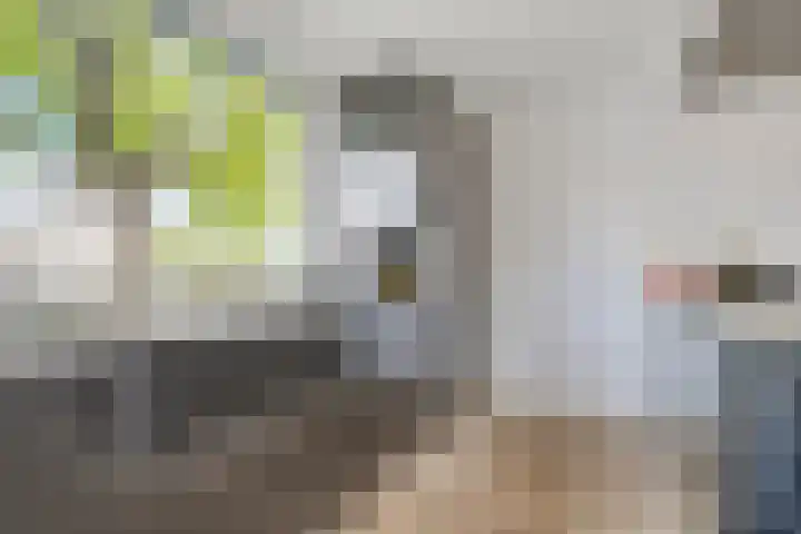 Kaninefatendreef 62 Alphen aan den Rijn thumbnail 13