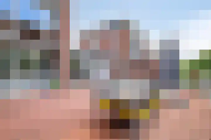 Kaninefatendreef 62 Alphen aan den Rijn thumbnail 32