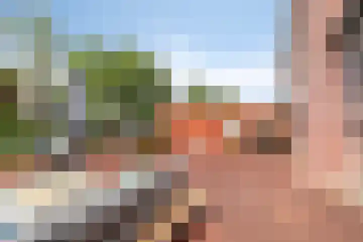 Kaninefatendreef 62 Alphen aan den Rijn thumbnail 4