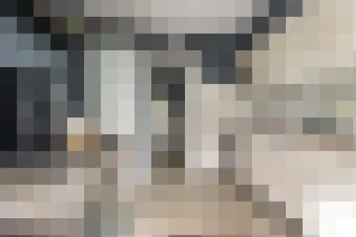Kaninefatenlaan 12 Apeldoorn thumbnail 14