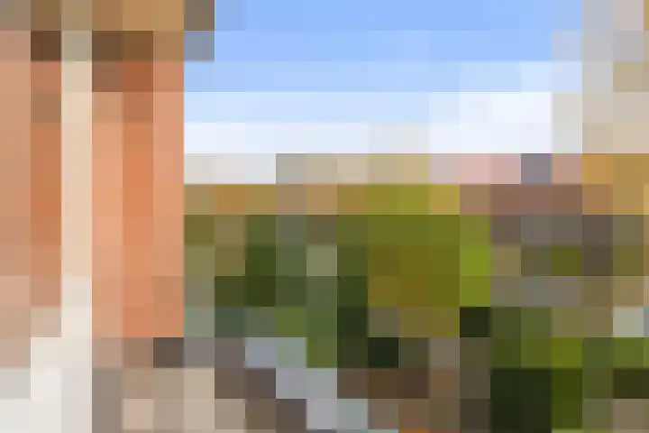 Kaninefatenlaan 12 Apeldoorn thumbnail 17