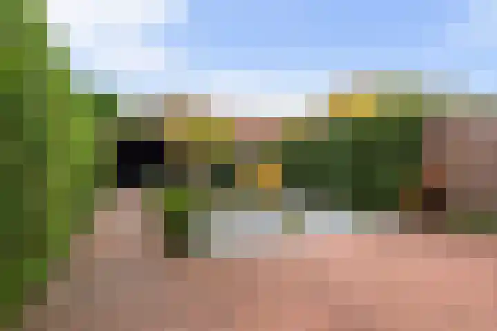 Kaninefatenlaan 12 Apeldoorn thumbnail 27