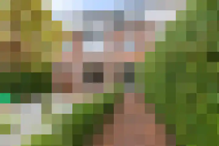 Kaninefatenlaan 12 Apeldoorn thumbnail 30