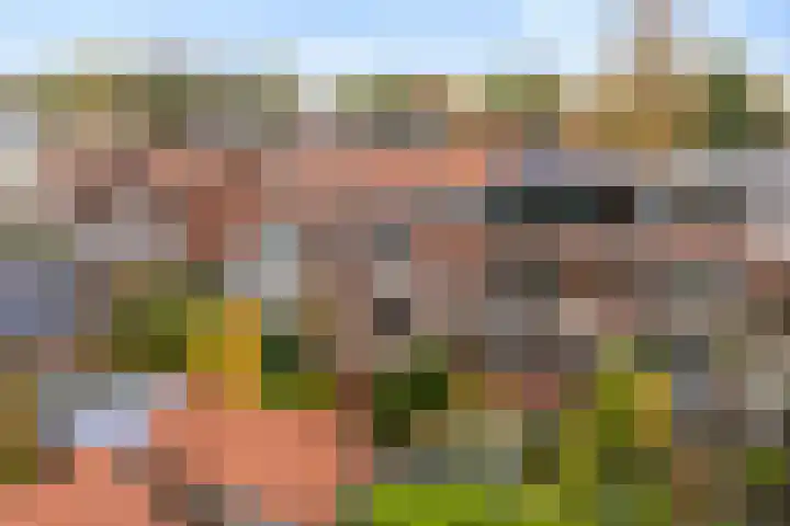 Kaninefatenlaan 12 Apeldoorn thumbnail 31