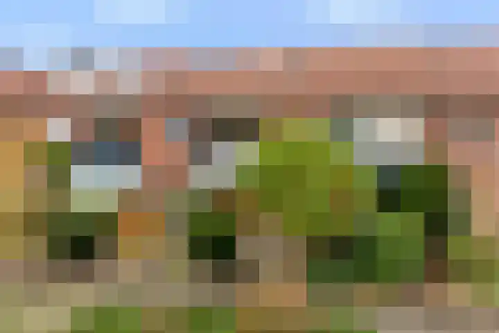 Kaninefatenlaan 12 Apeldoorn thumbnail 6