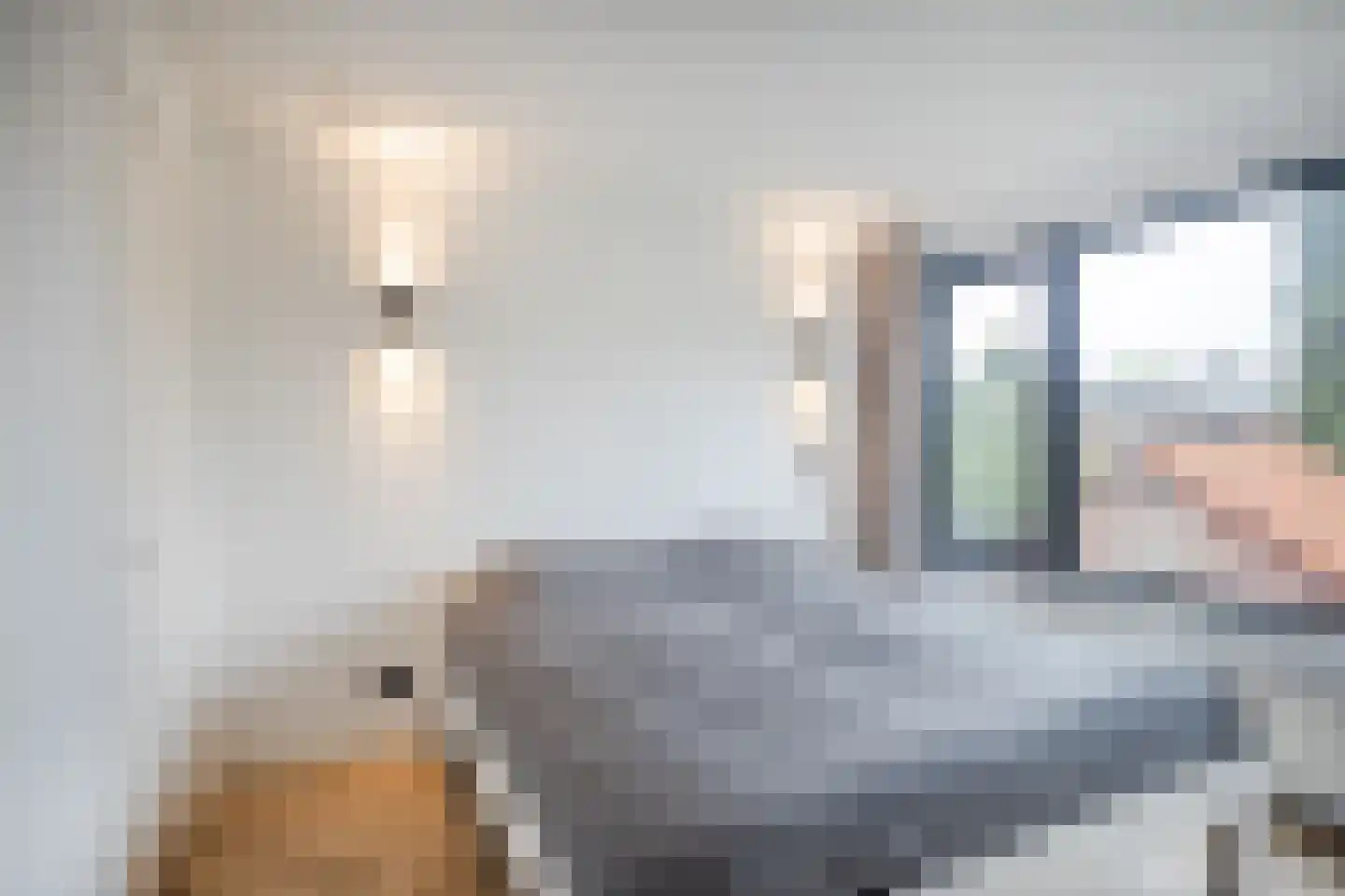 Kaninefatenlaan 22 Apeldoorn thumbnail 20