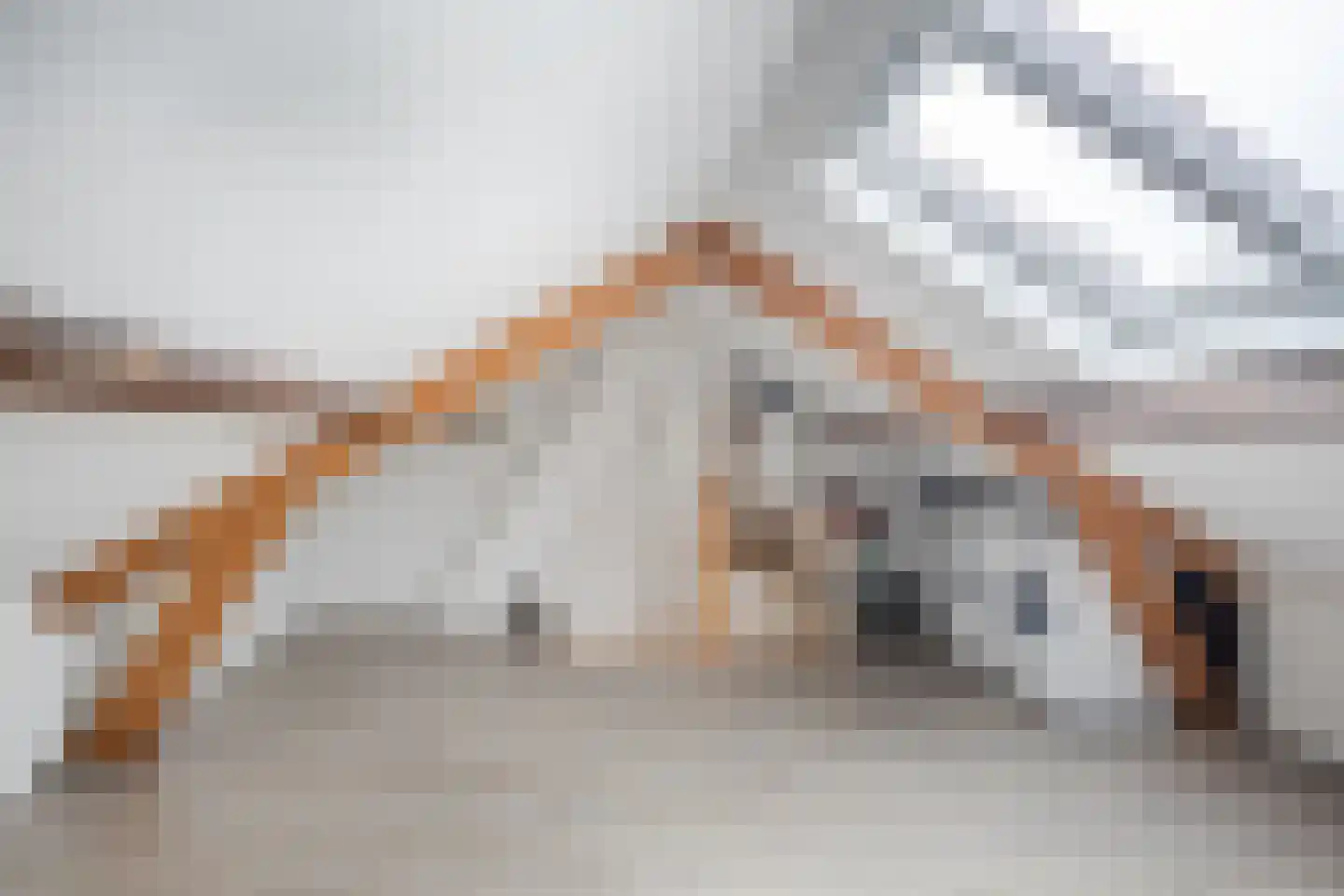 Kaninefatenlaan 22 Apeldoorn thumbnail 30