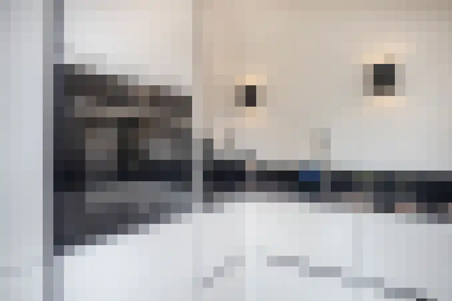 Kaninefatenlaan 22 Apeldoorn thumbnail 6