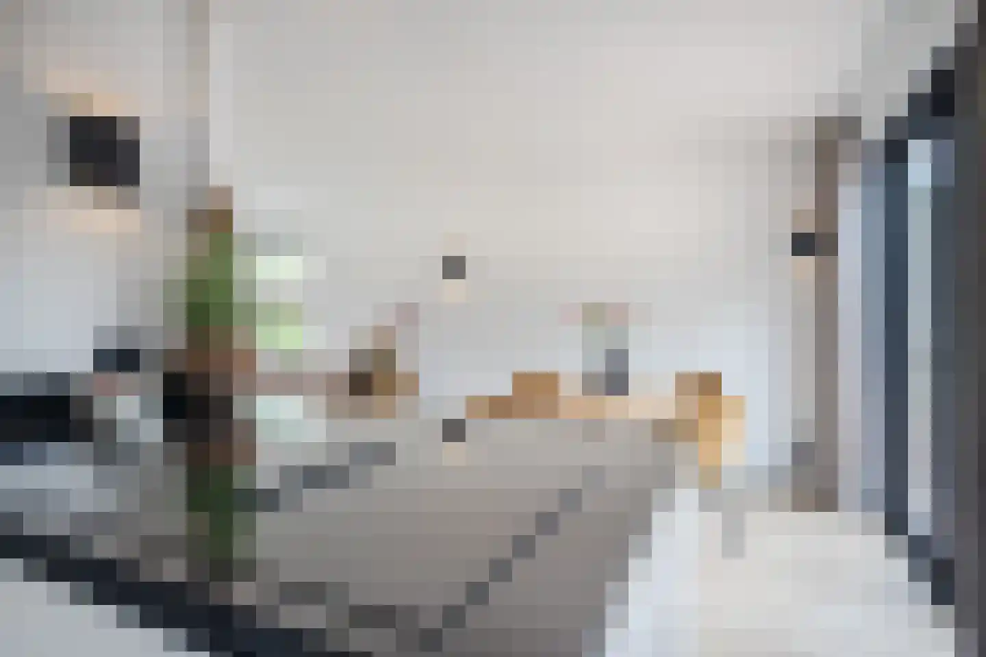 Kaninefatenlaan 22 Apeldoorn thumbnail 9