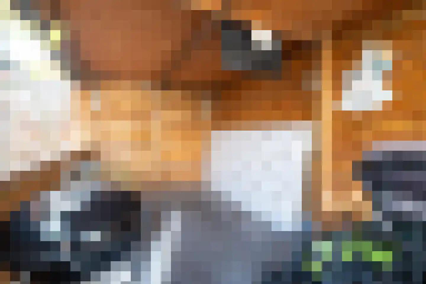 Kaninefatenlaan 26 Apeldoorn thumbnail 17