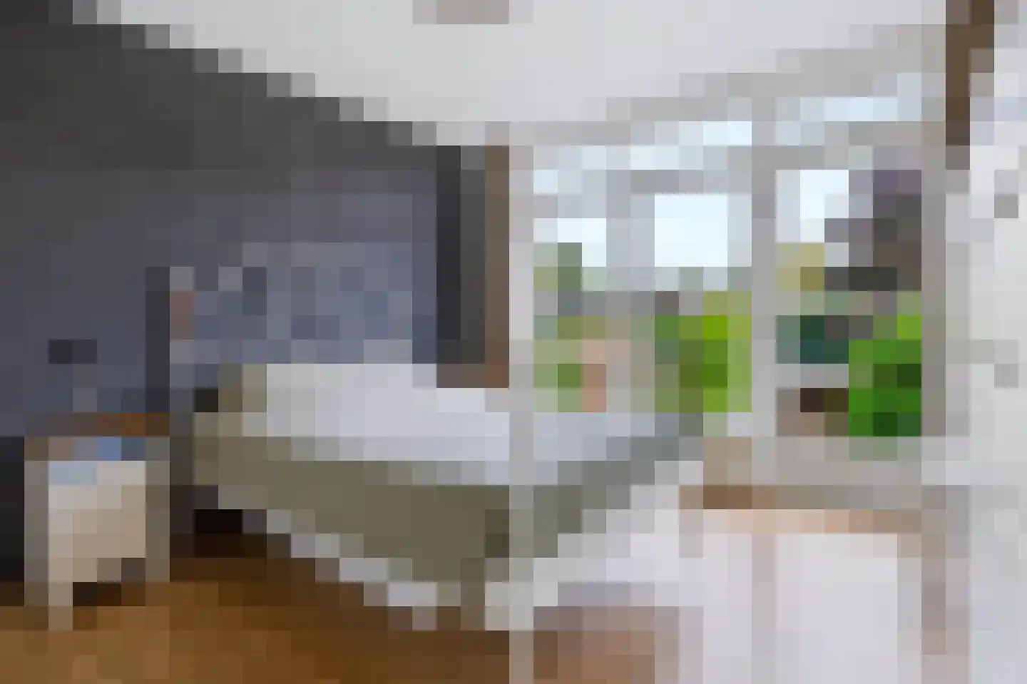 Kaninefatenlaan 31 Apeldoorn thumbnail 14