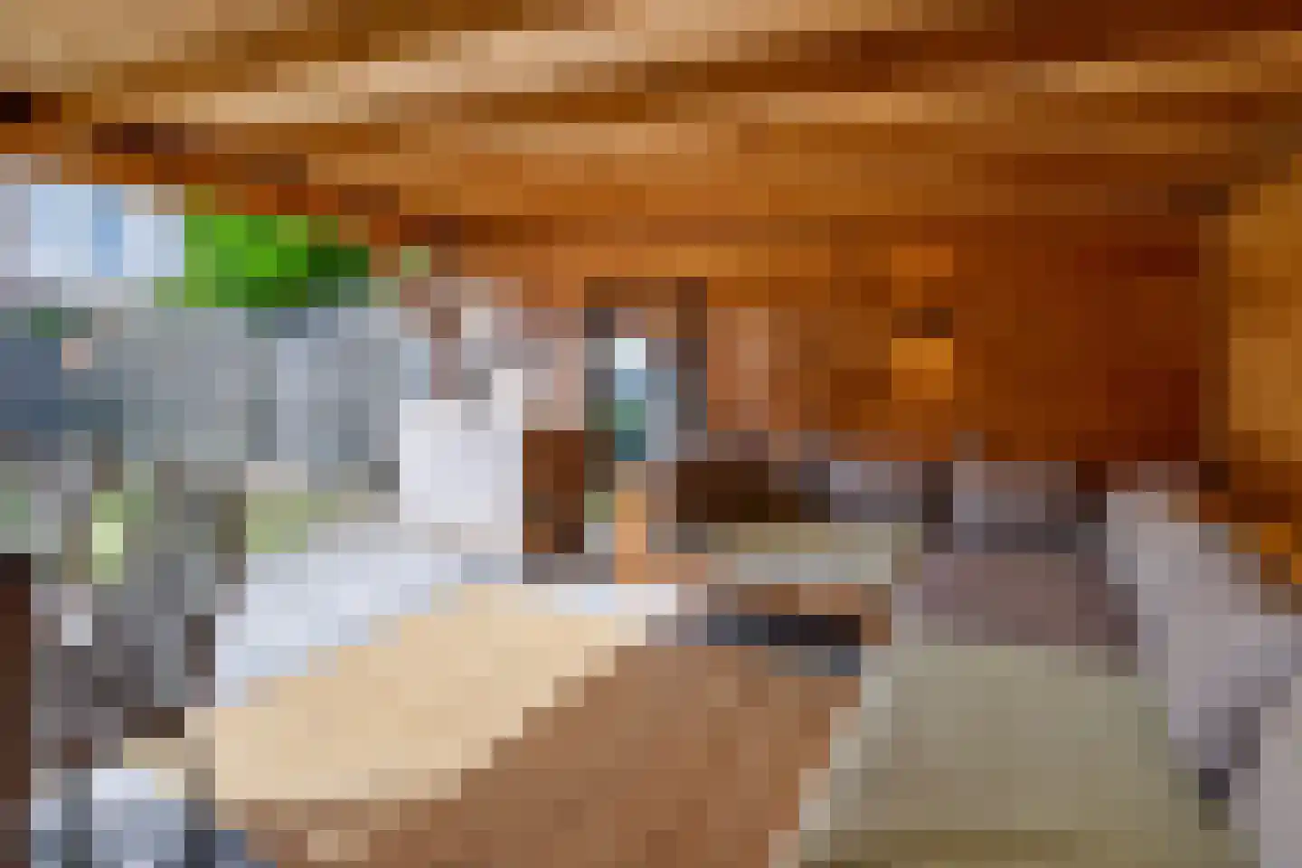 Kaninefatenlaan 31 Apeldoorn thumbnail 23
