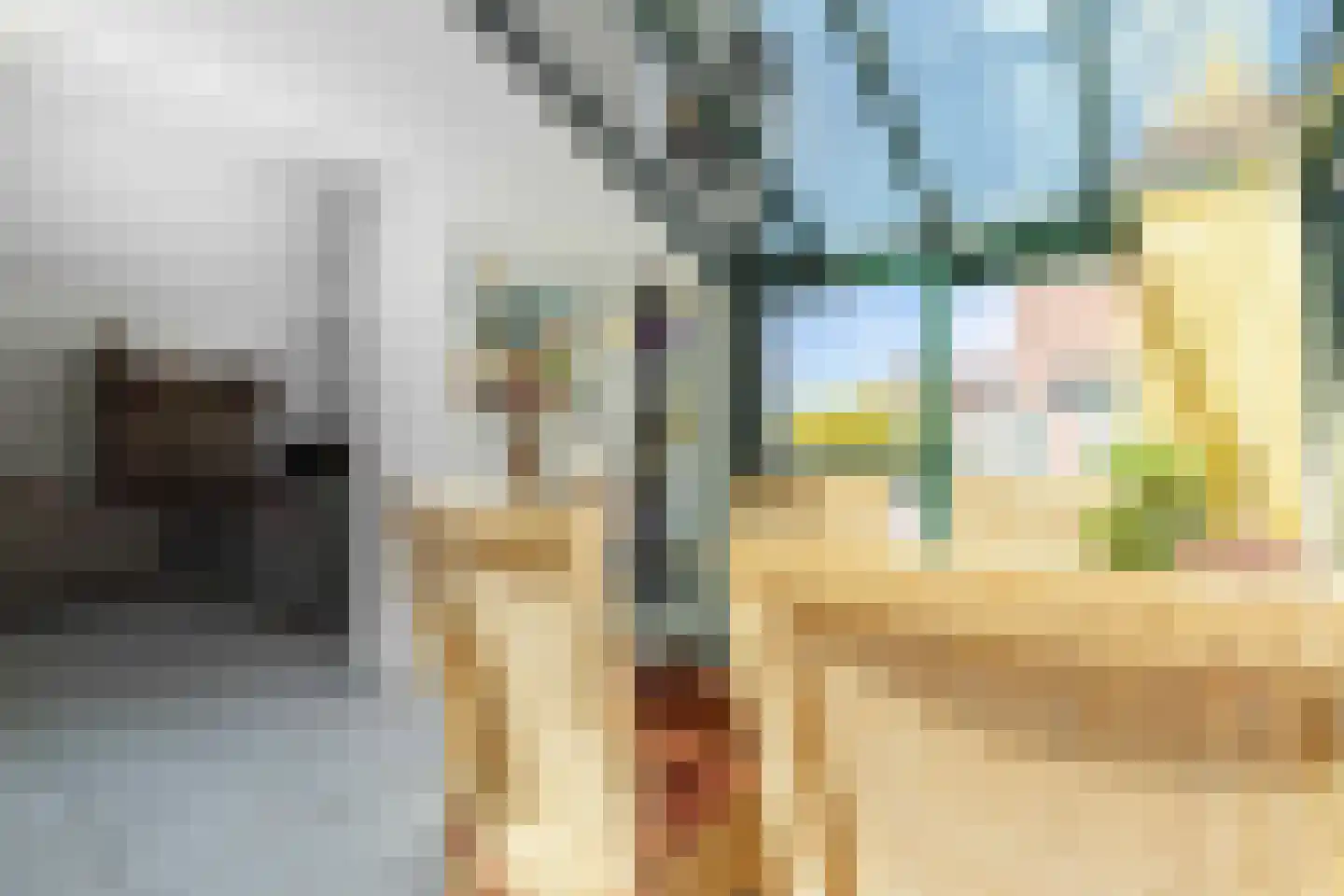 Kanjelkant 7 Maastricht thumbnail 12